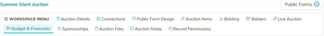 The auction workspace menu with the Budget and Financials tab selected