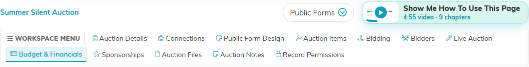 The auction workspace menu with the Budget and Financials tab selected, with the Show Me How To Use This Page video at the top right
