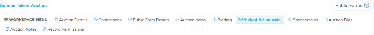 The auction workspace menu with the Budget and Financials tab selected
