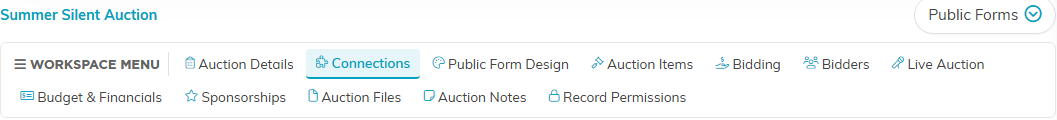 The auction workspace menu with the Connections tab selected