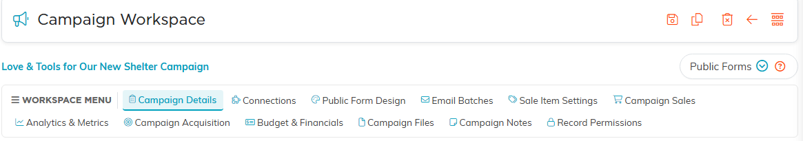 The Campaign Workspace title bar, the campaign name, the Public Forms button, and the workspace menu listing all twelve tabs