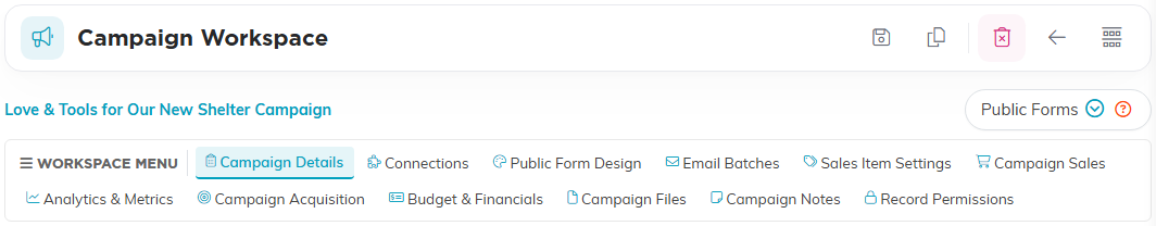 The Campaign Workspace title bar with the Save icon, the campaign name, the Public Forms button, and the workspace menu listing all twelve tabs