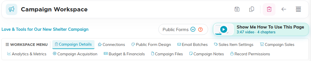 The Campaign Workspace title bar with the Save icon, the campaign name, the Public Forms button, the Show Me How To Use This Page video, and the workspace menu listing all twelve tabs