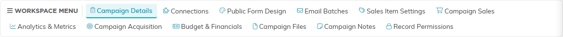 The Campaign Workspace title bar, the campaign name, the Public Forms button, and the workspace menu listing all twelve tabs