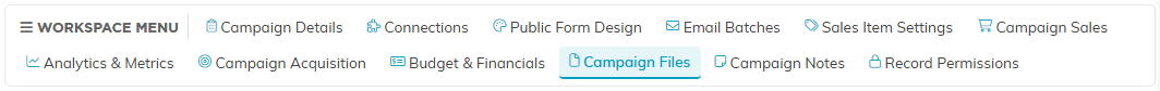The campaign workspace menu with the Campaign Files tab selected