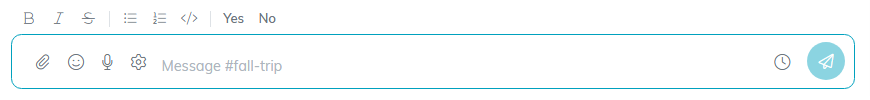 The empty message box with the formatting buttons above it, and the paperclip, smiley, microphone and gear inside it