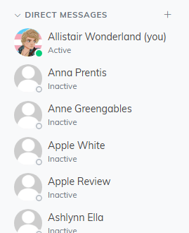 The Direct Messages section of the Chatter sidebar, with the plus sign beside its heading and a list of teammates