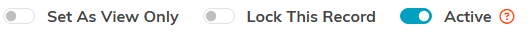 The Set As View Only, Lock This Record, and Active switches at the top of Chapter Details, with Active turned on