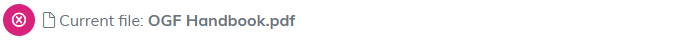 The current file line naming the attached file, with a pink remove icon