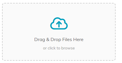 The Drag and Drop Files Here box with or click to browse underneath