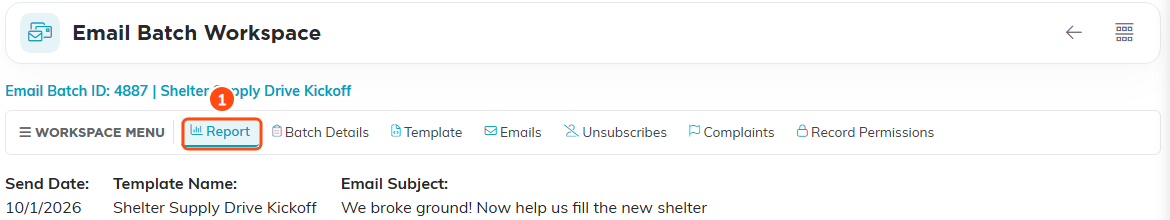 The Email Batch Workspace with its seven tabs, the Report tab first and open.