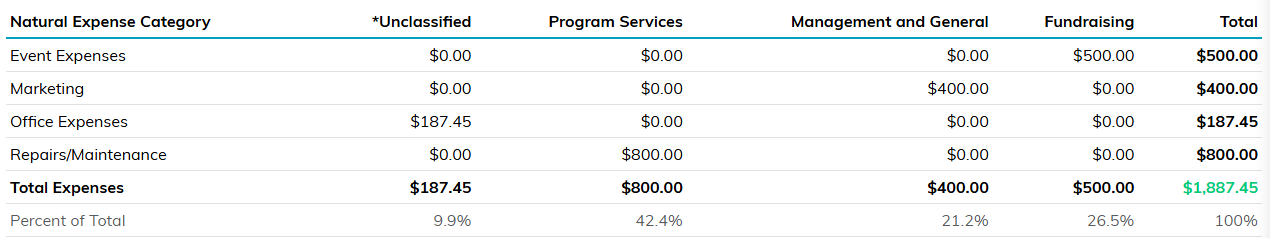 The Statement of Functional Expenses with an Unclassified, Program Services, Management and General and Fundraising column