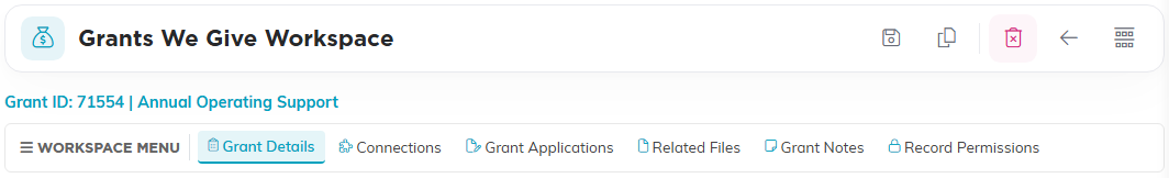 The Grants We Give Workspace header showing the grant ID and title, with the six tabs Grant Details, Connections, Grant Applications, Related Files, Grant Notes and Record Permissions