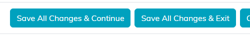 The two save buttons at the bottom of the grant record