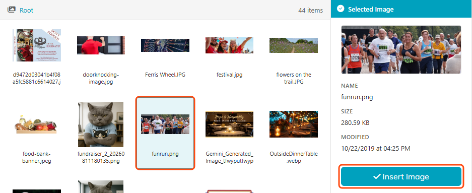 The Image Manager with one picture selected and outlined, and the Insert Image button outlined in the Selected Image panel