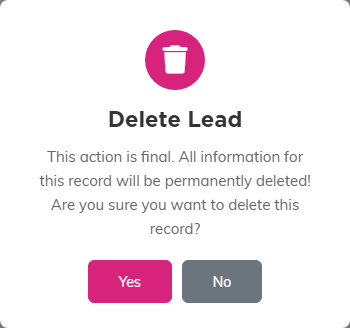 The Delete Lead confirmation window warning that the action is final