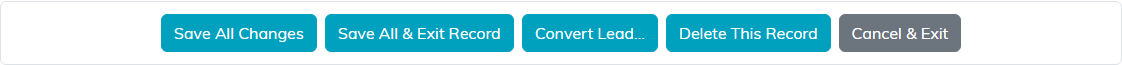 The button row at the bottom of Lead Details, including Convert Lead