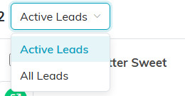 The view picker above the lead list, open on Active Leads and All Leads