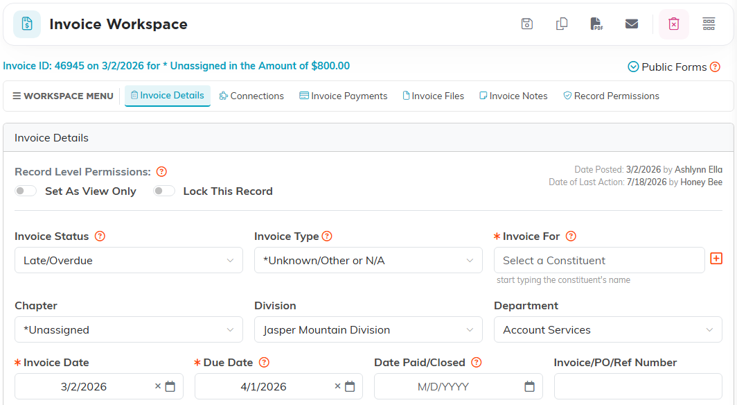 The Invoice Workspace details tab