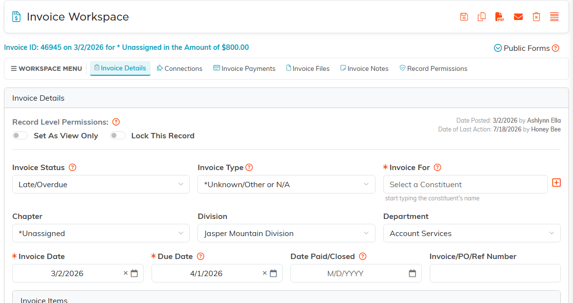 The Invoice Workspace details tab