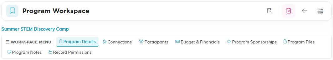 The Program Workspace menu showing Program Details, Connections, Participants, Budget and Financials, Program Sponsorships, Program Files, Program Notes and Record Permissions