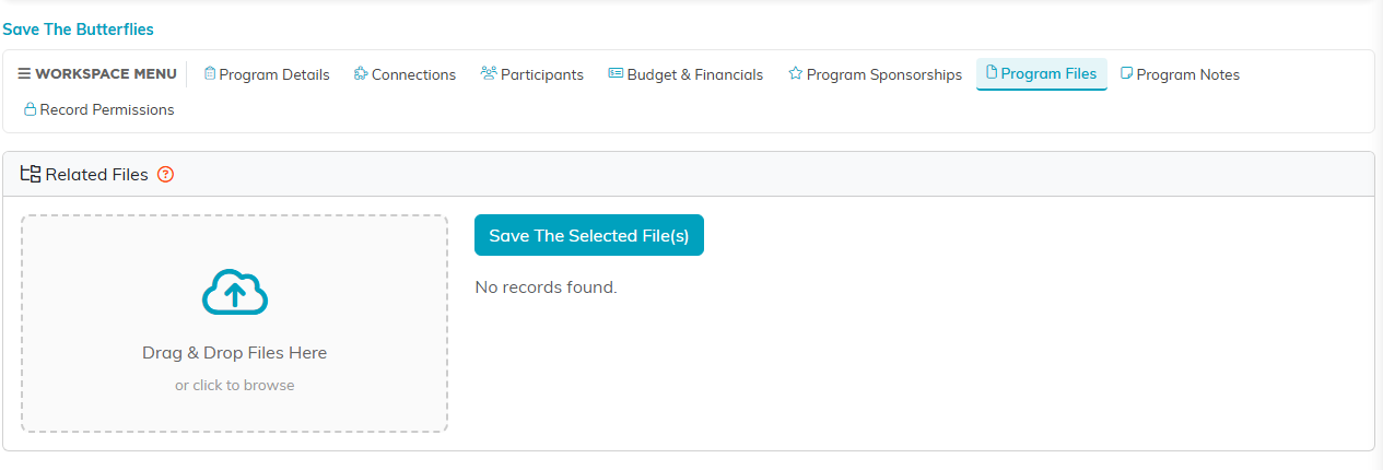 The Program Files tab showing the Related Files panel with the Drag and Drop Files Here upload area on the left and the Save The Selected Files button on the right