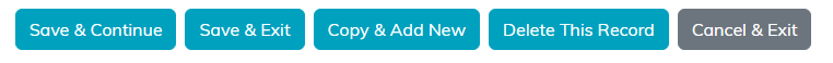 The button row on Project Details with Save and Continue, Save and Exit, Copy and Add New, Delete This Record and Cancel and Exit