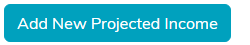The Add New Projected Income button