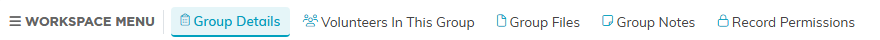 The five tabs in the Volunteer Group Workspace