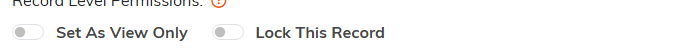 The Set As View Only and Lock This Record switches
